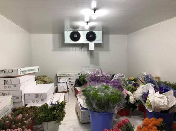 HB - Logistics cung cấp dịch vụ cho thuê kho lạnh bảo quản hoa tươi