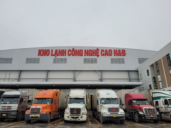 HB Logistics cung cấp chuỗi cung ứng lạnh
